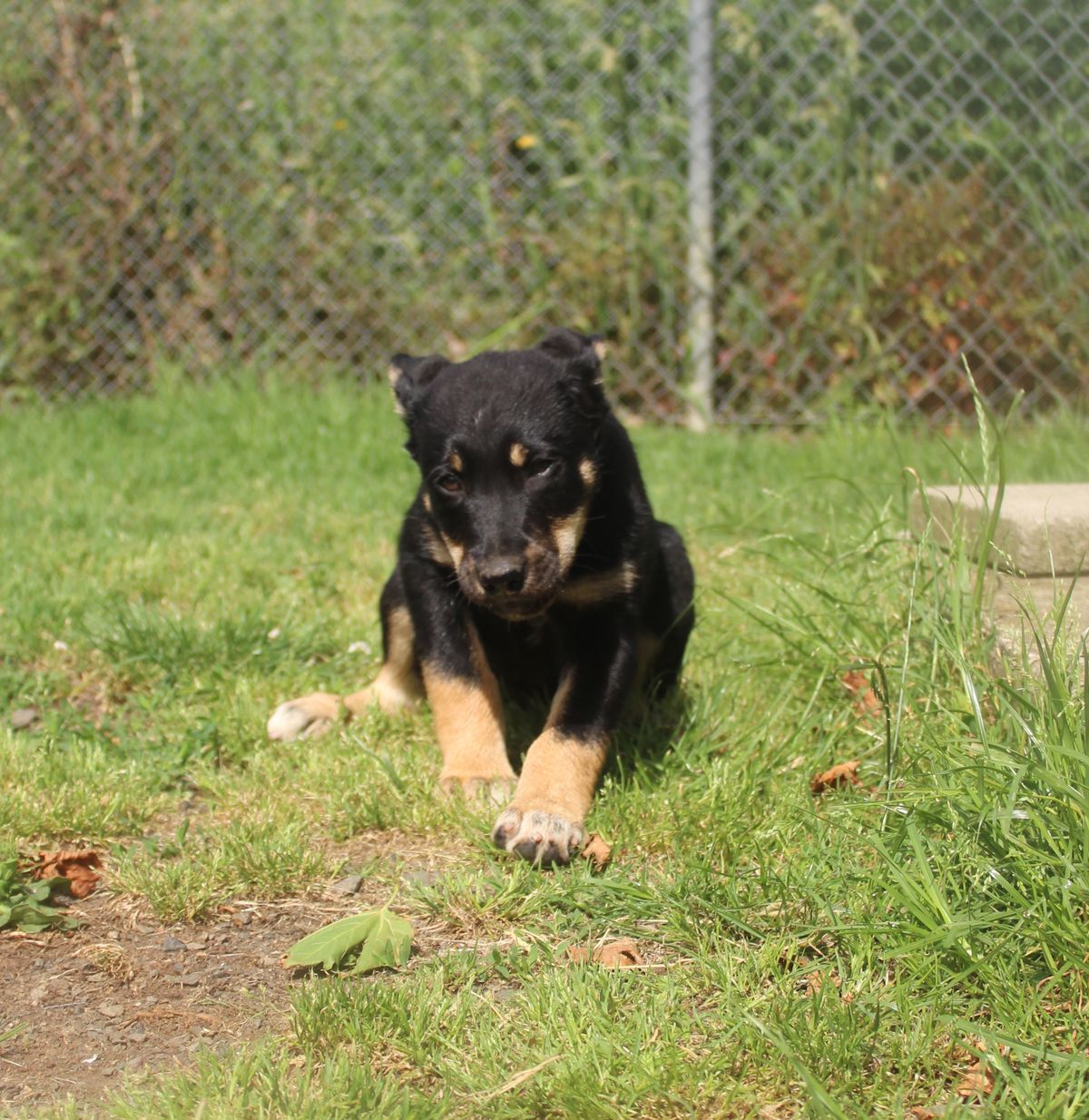 Gallery image: Jenny