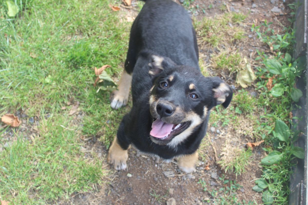 Gallery image: Jenny