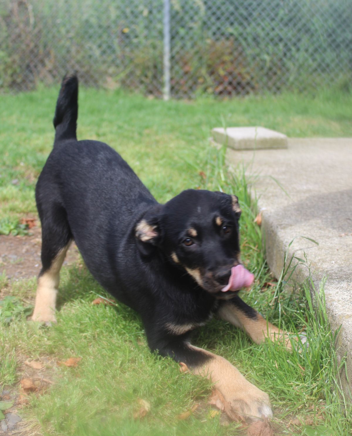 Gallery image: Jenny