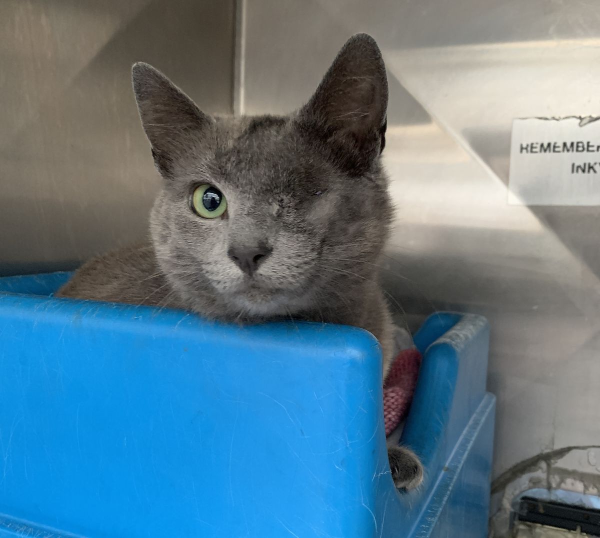 Gallery image: Trinity 