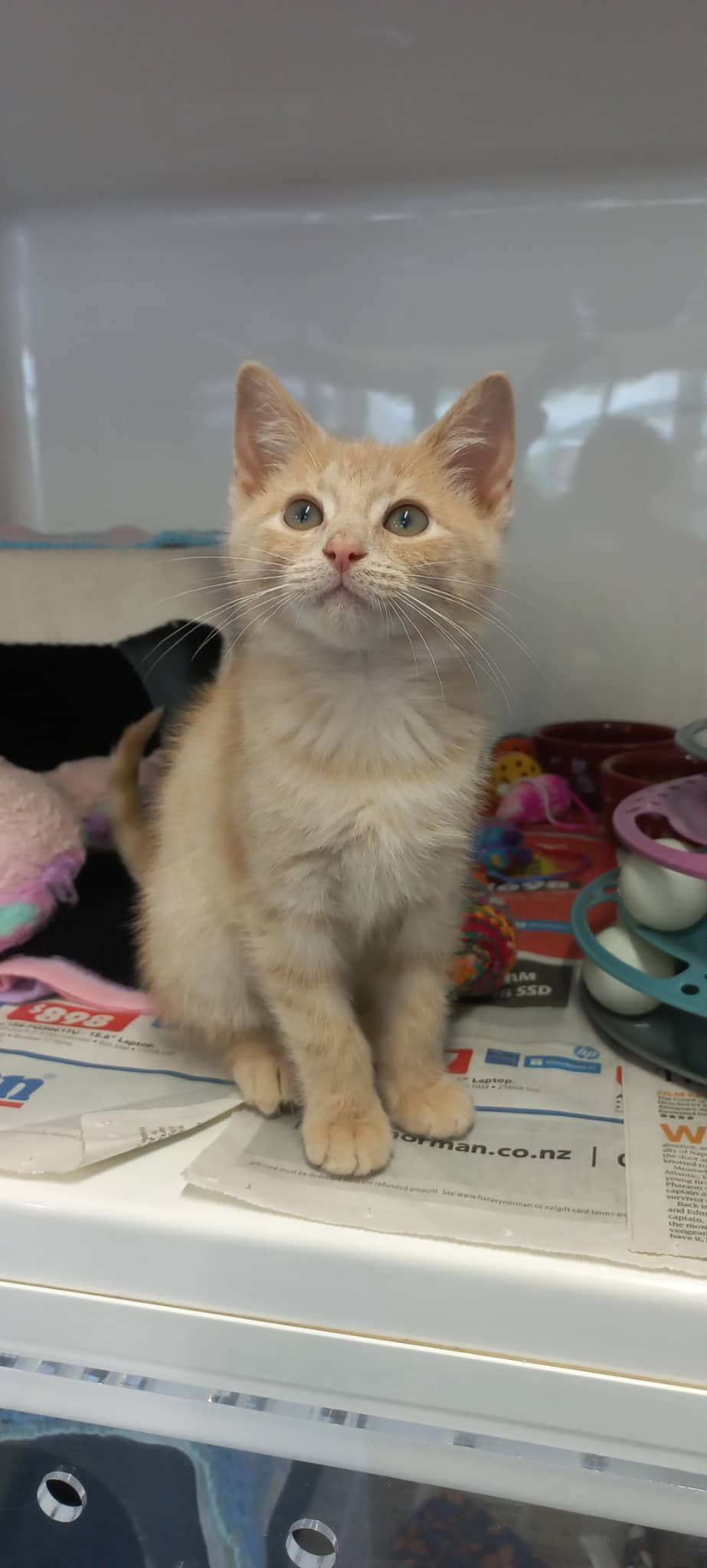 Gallery image: Camille