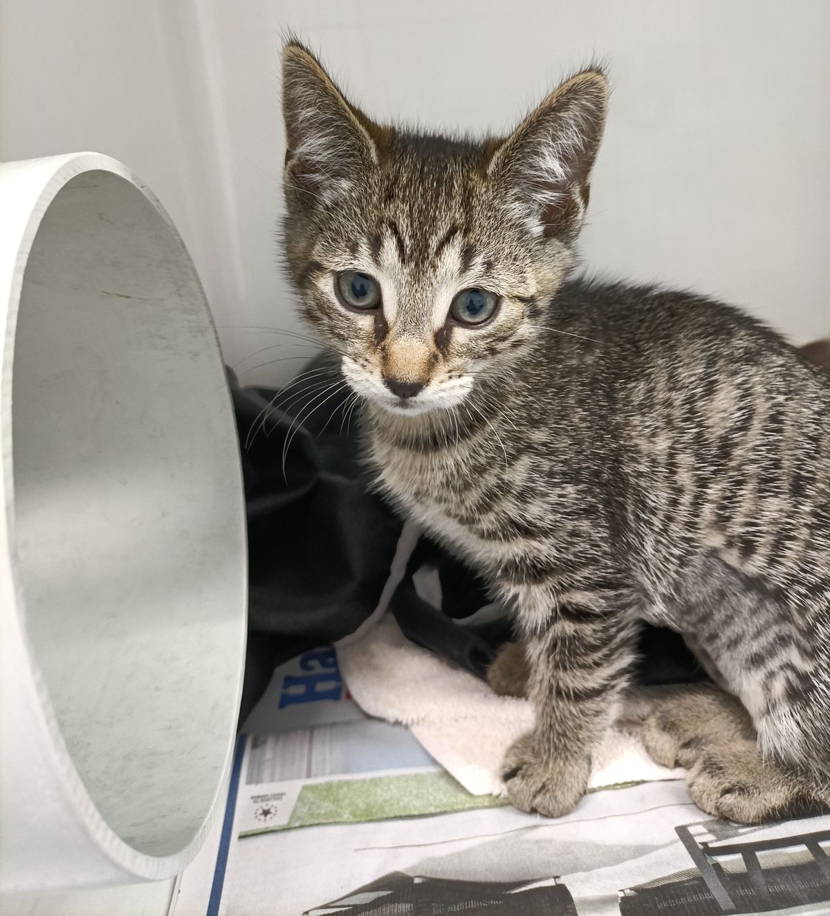 Gallery image: Pudding