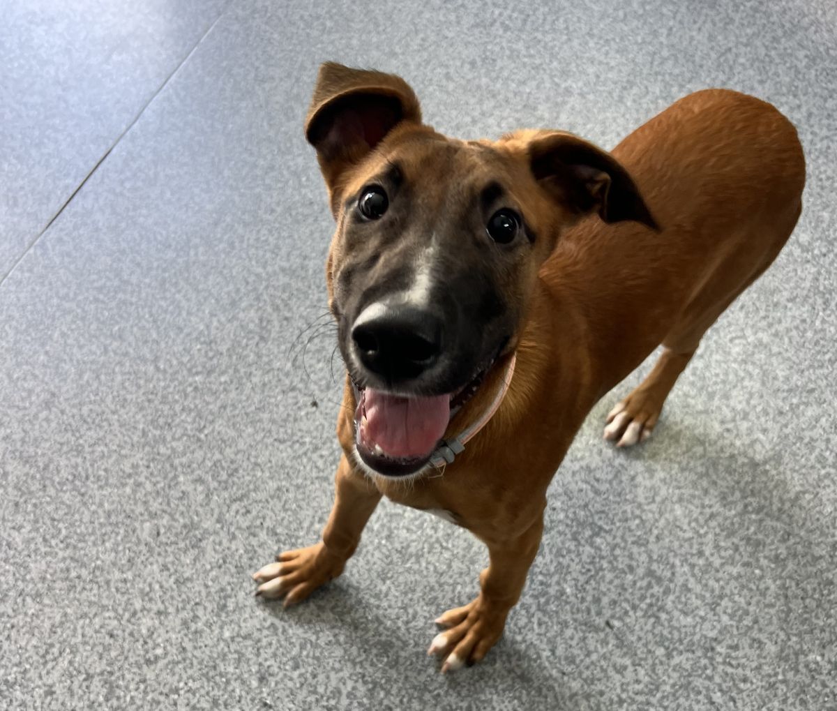 Gallery image: Beauden