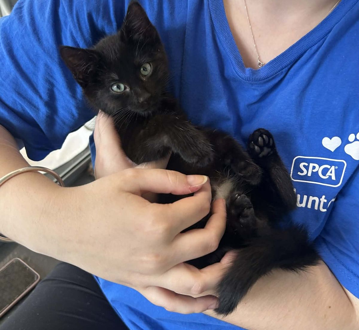 Gallery image: Johnny