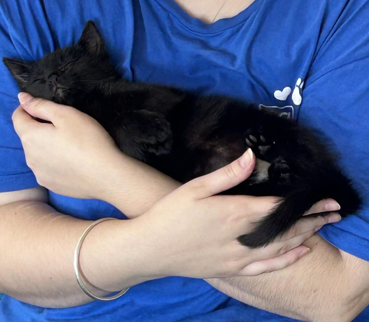 Gallery image: Johnny