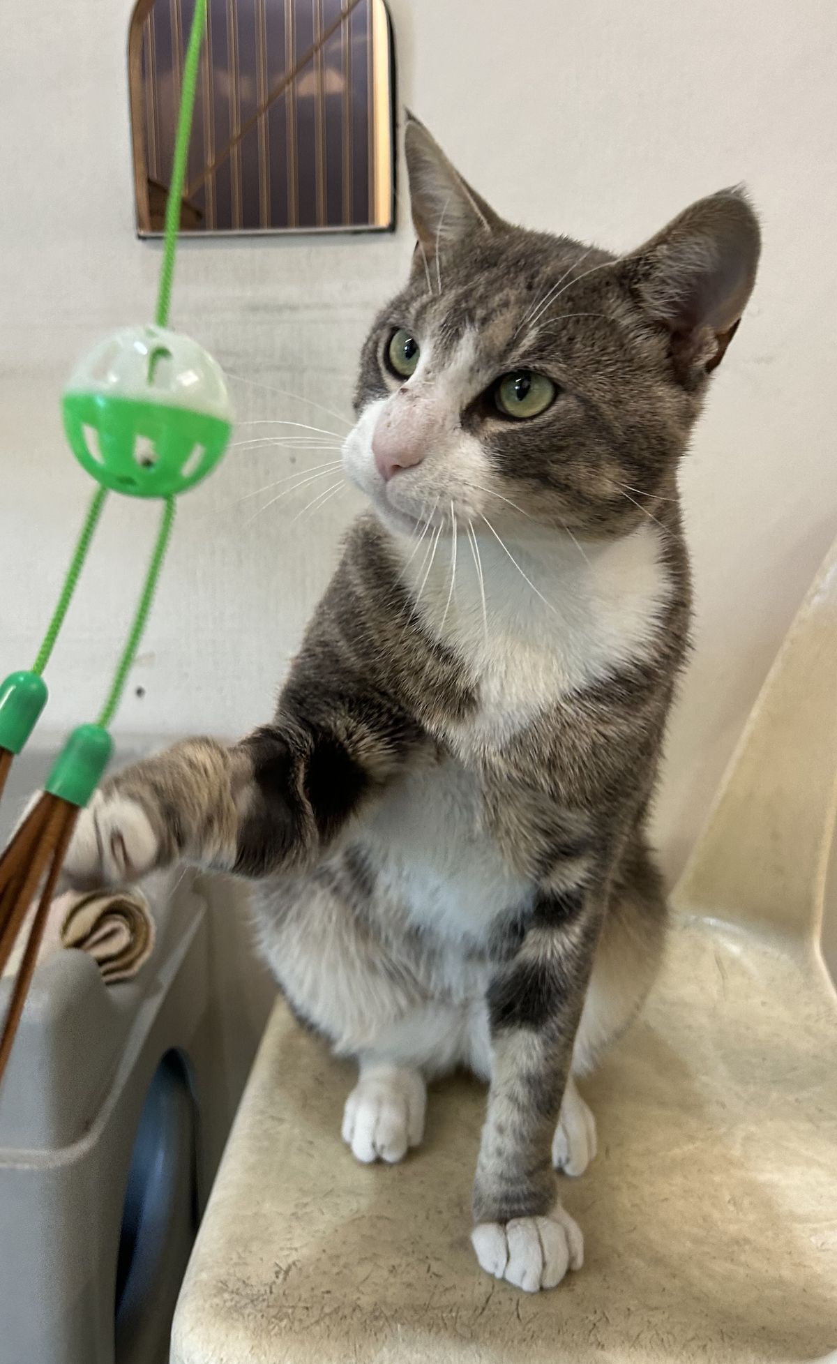 Gallery image: Pretty Boy