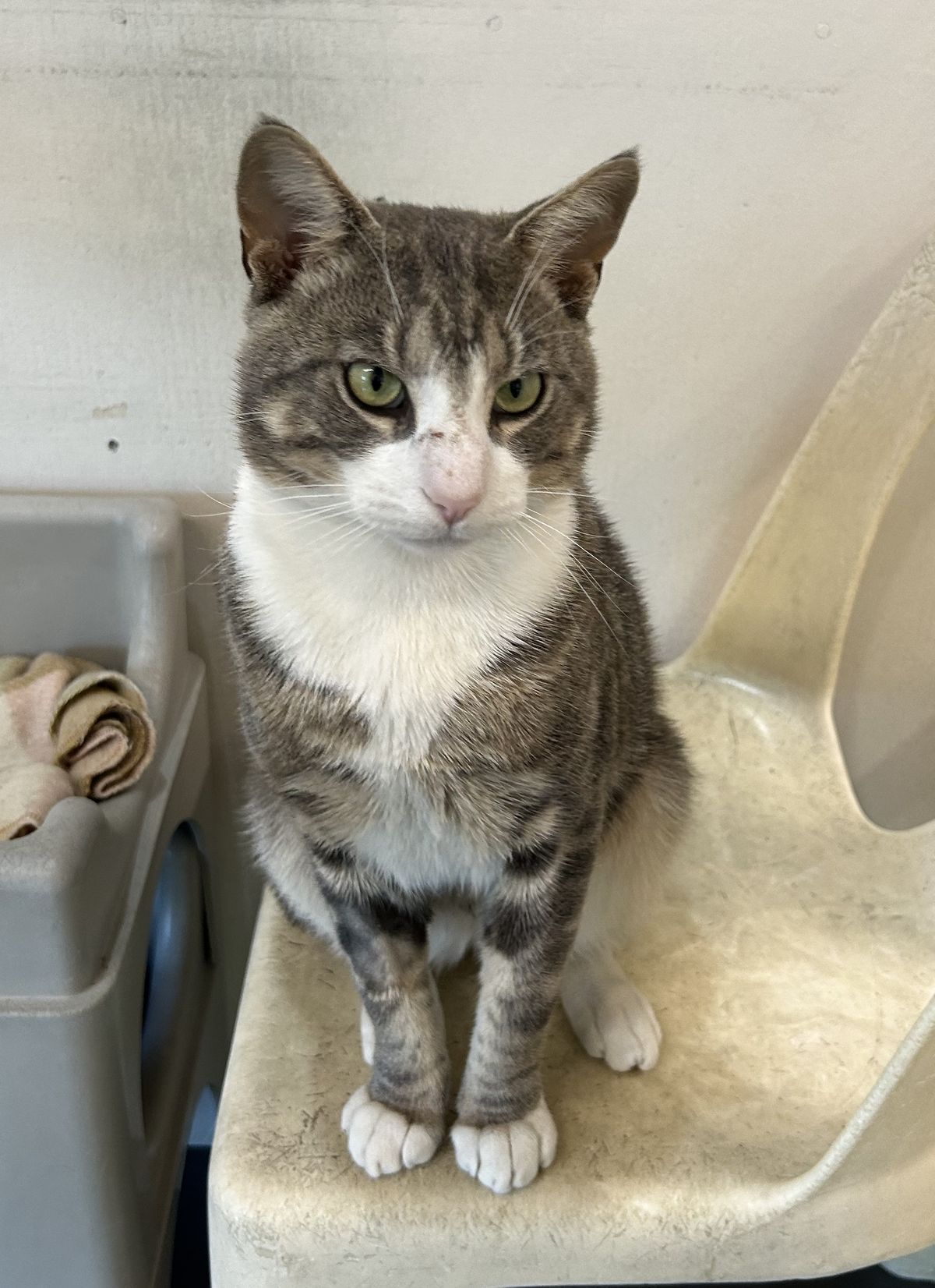 Gallery image: Pretty Boy