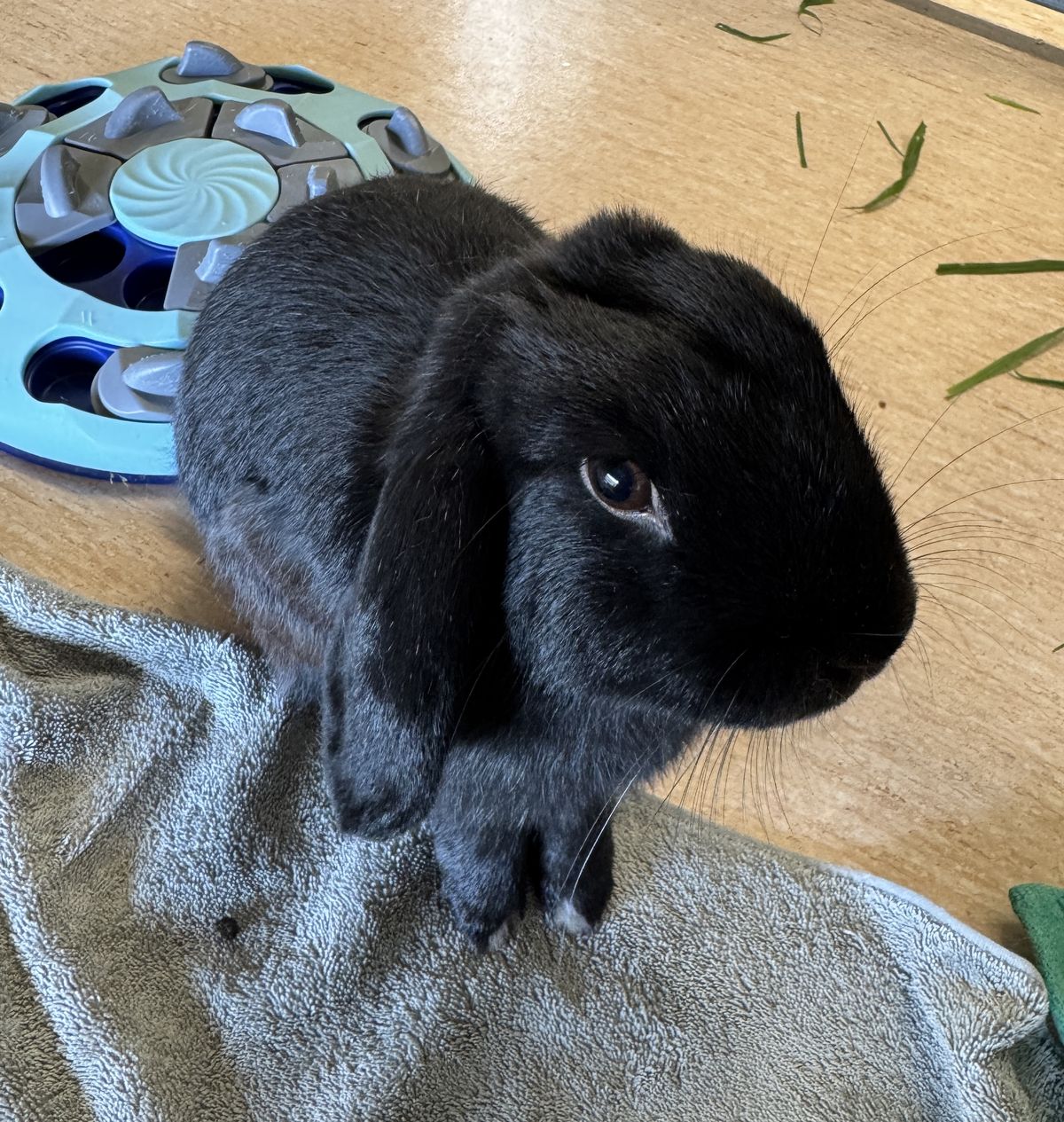 Gallery image: Randy