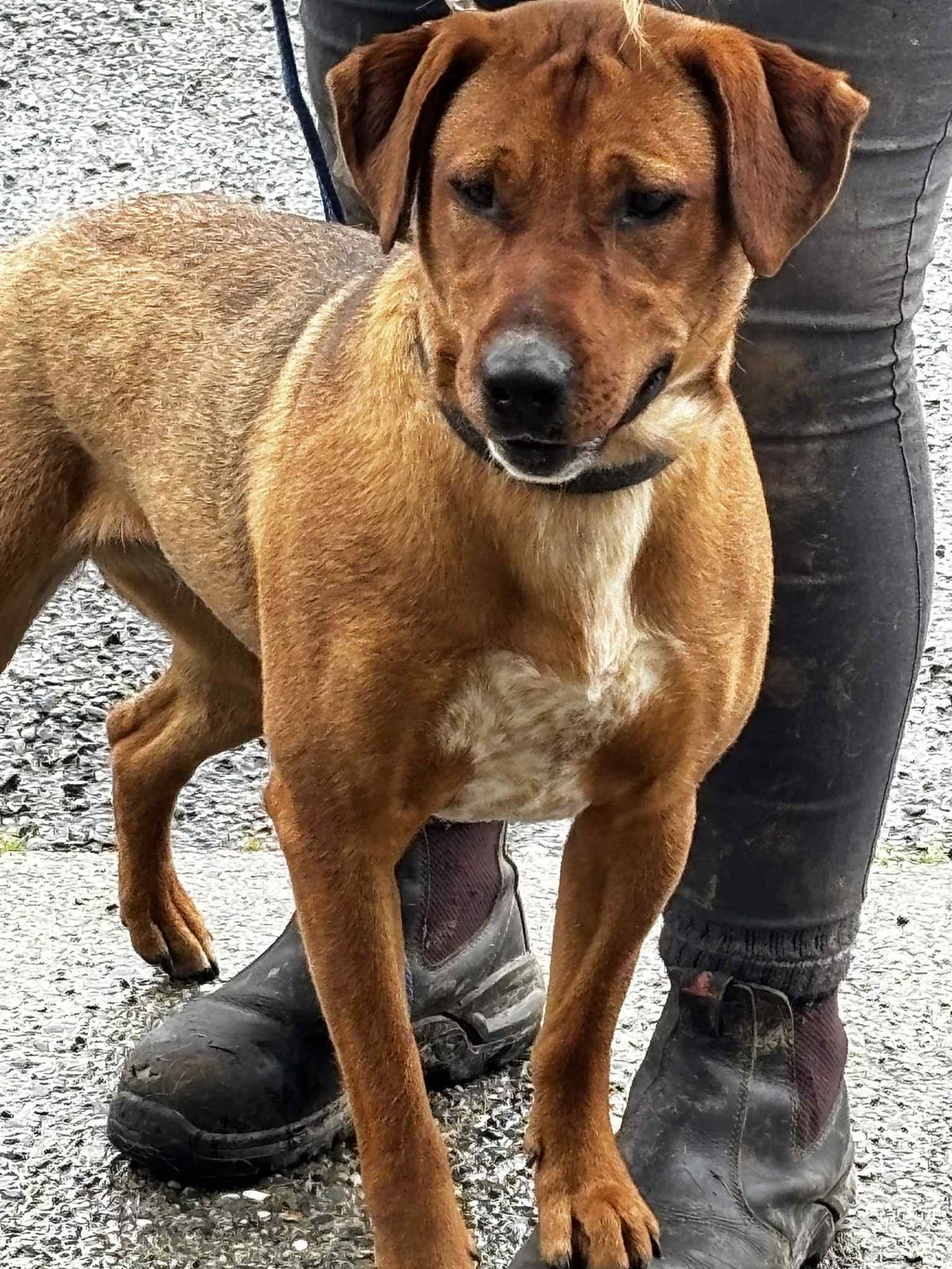 Gallery image: Sae-Dee