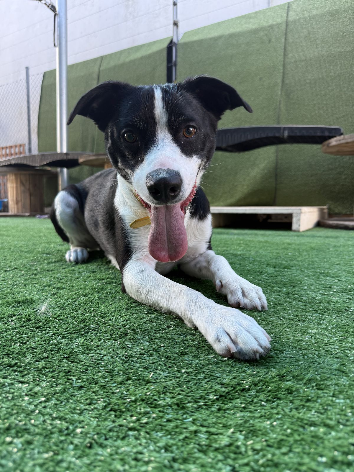 Gallery image: Honey