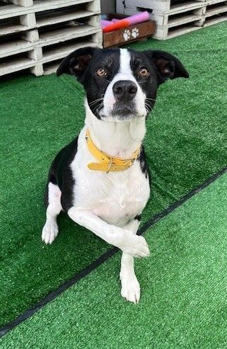 Gallery image: Honey