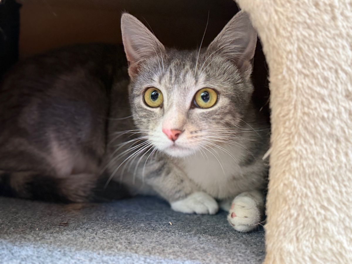 Gallery image: Storm