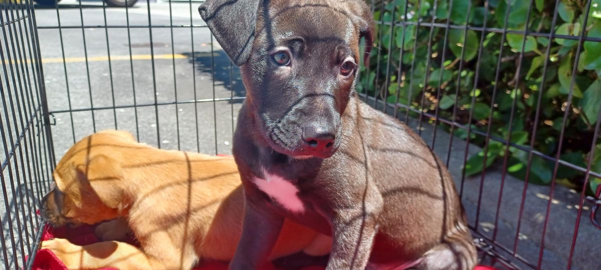 Gallery image: River