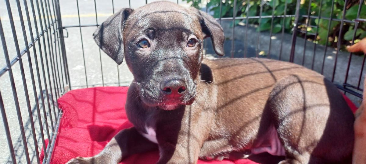 Gallery image: River