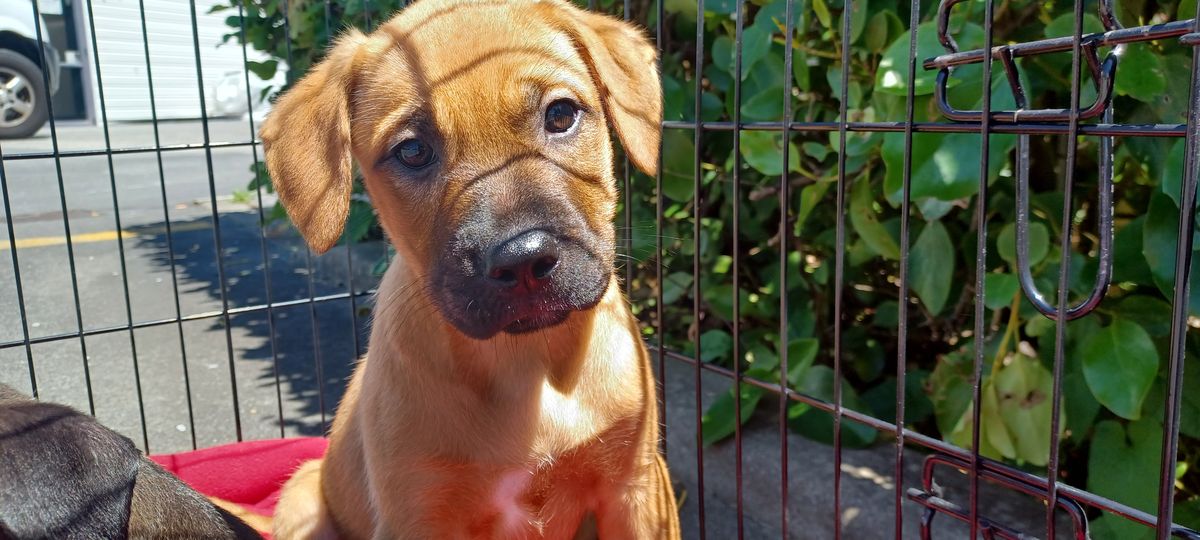 Gallery image: Raine