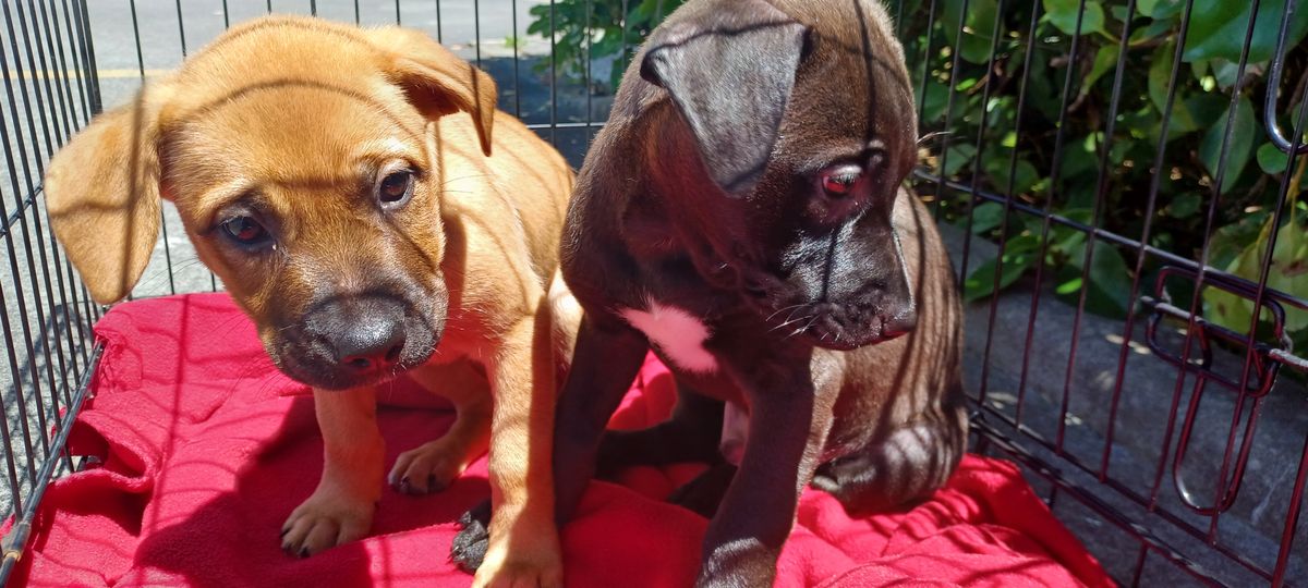 Gallery image: Raine