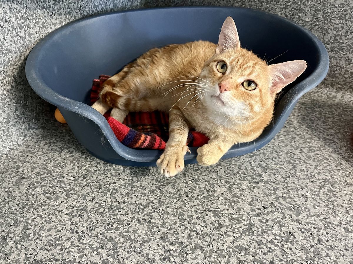 Gallery image: Willie