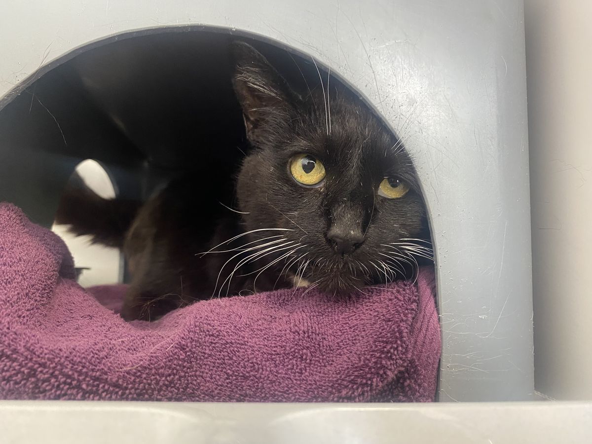 Gallery image: Sabrina