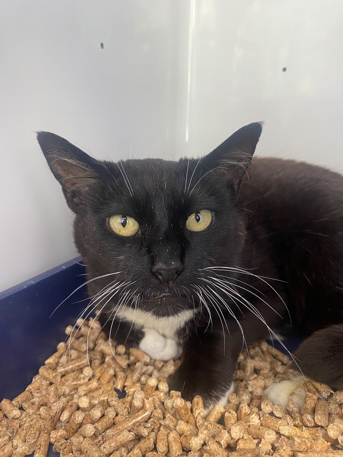 Gallery image: Sabrina