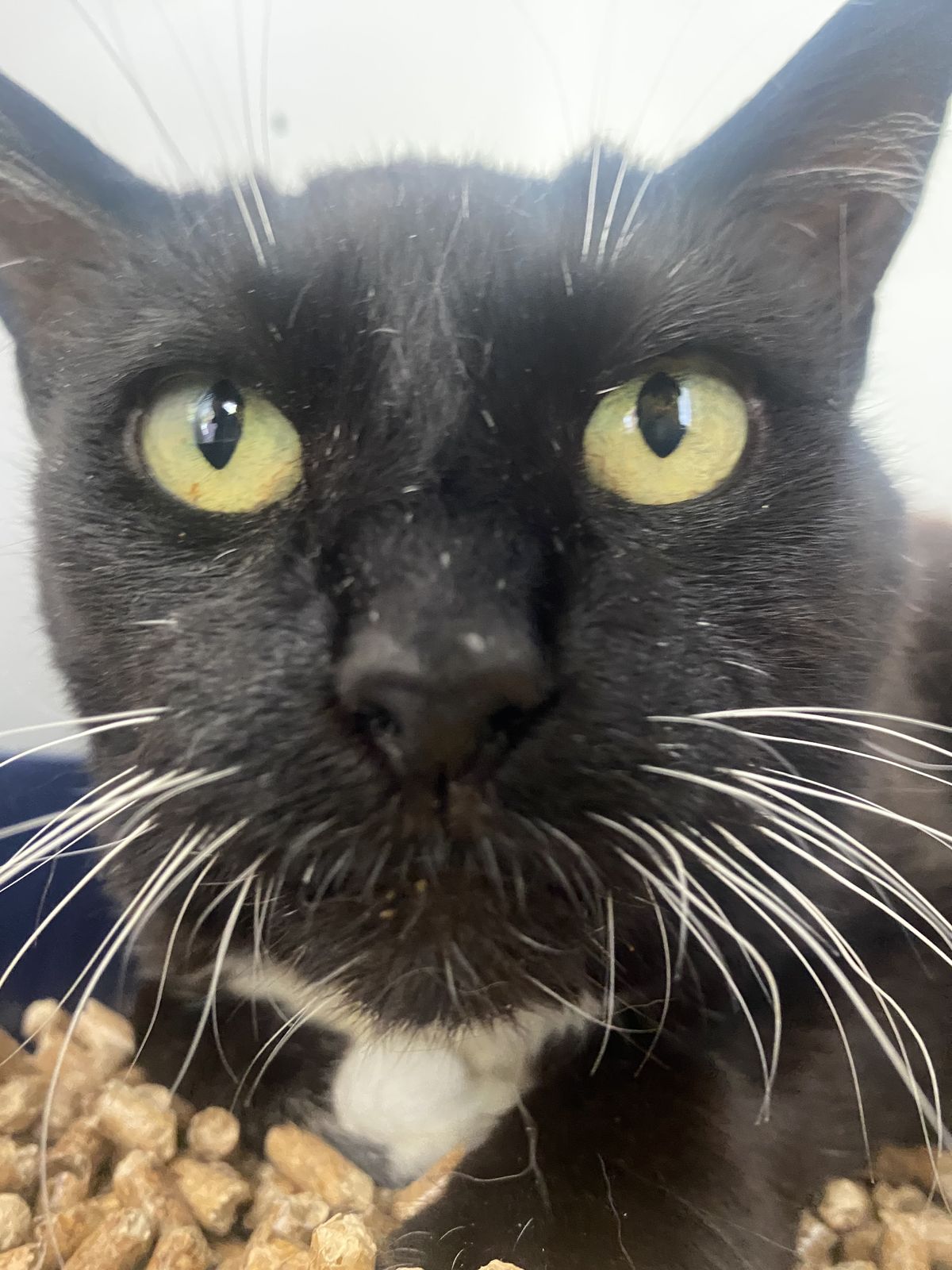 Gallery image: Sabrina