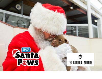 Santa Paws Ponsonby (Auckland)