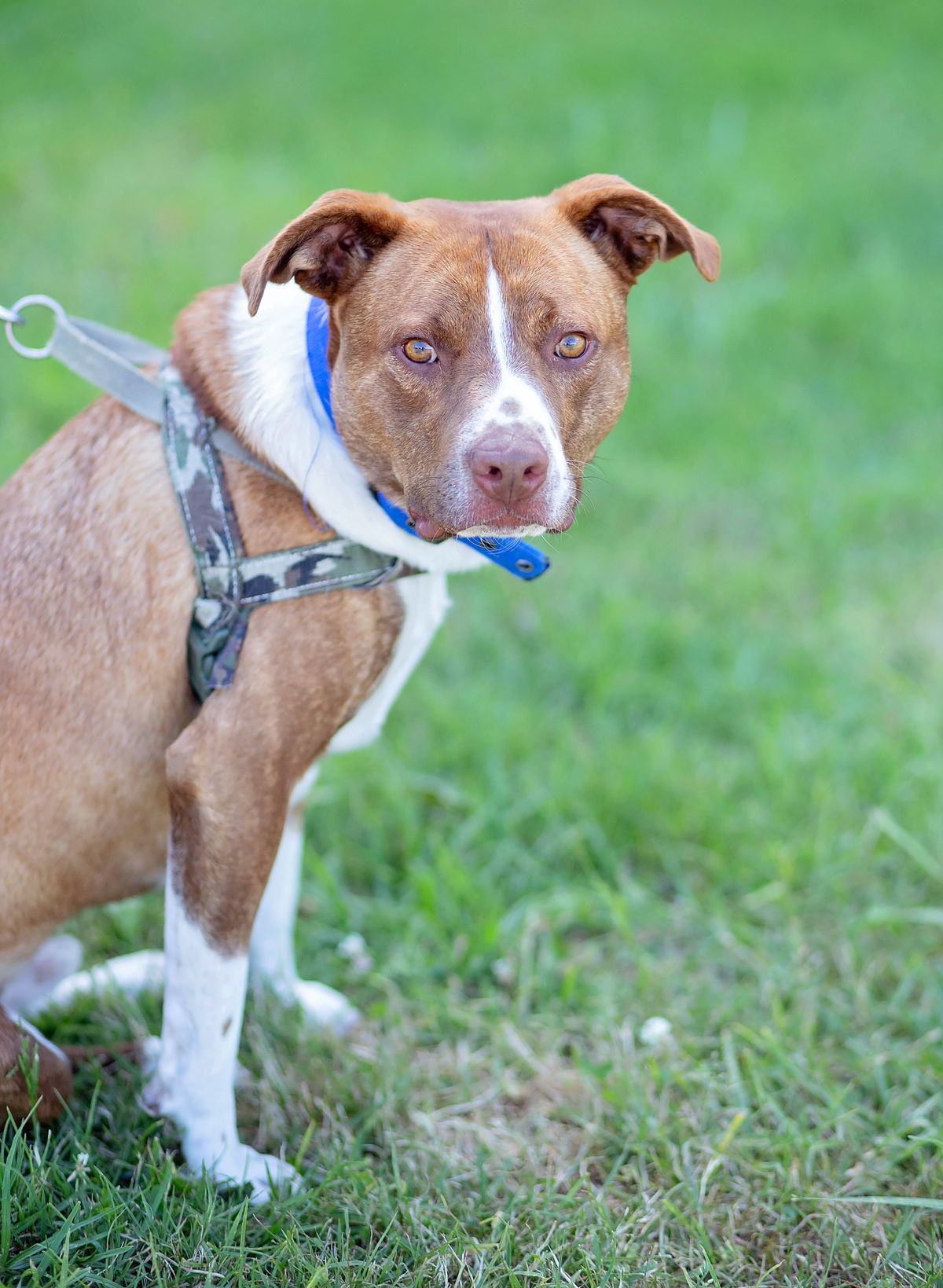 Gallery image: Hopper