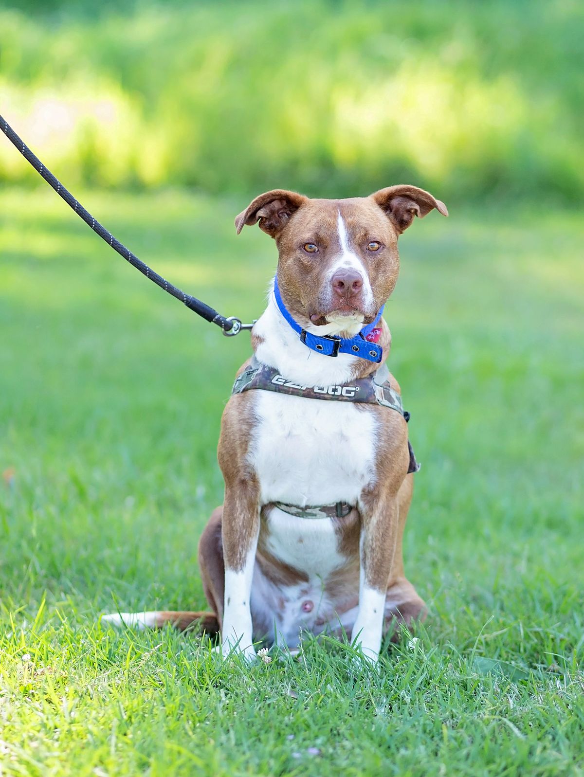 Gallery image: Hopper