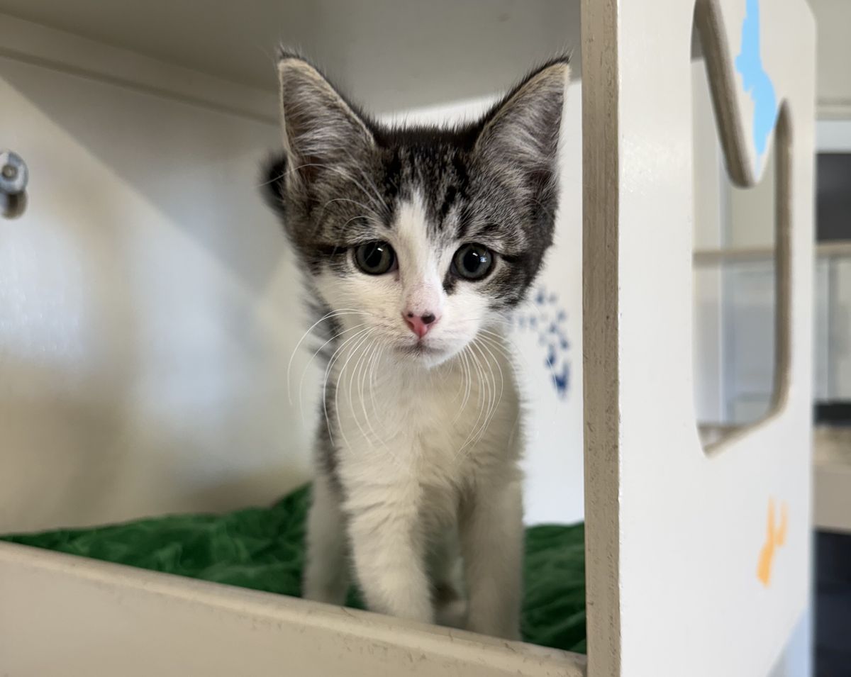 Gallery image: Abigail