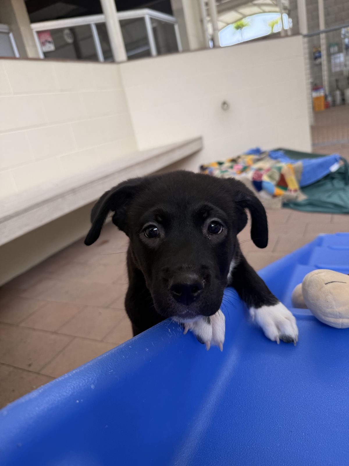 Gallery image: Samantha