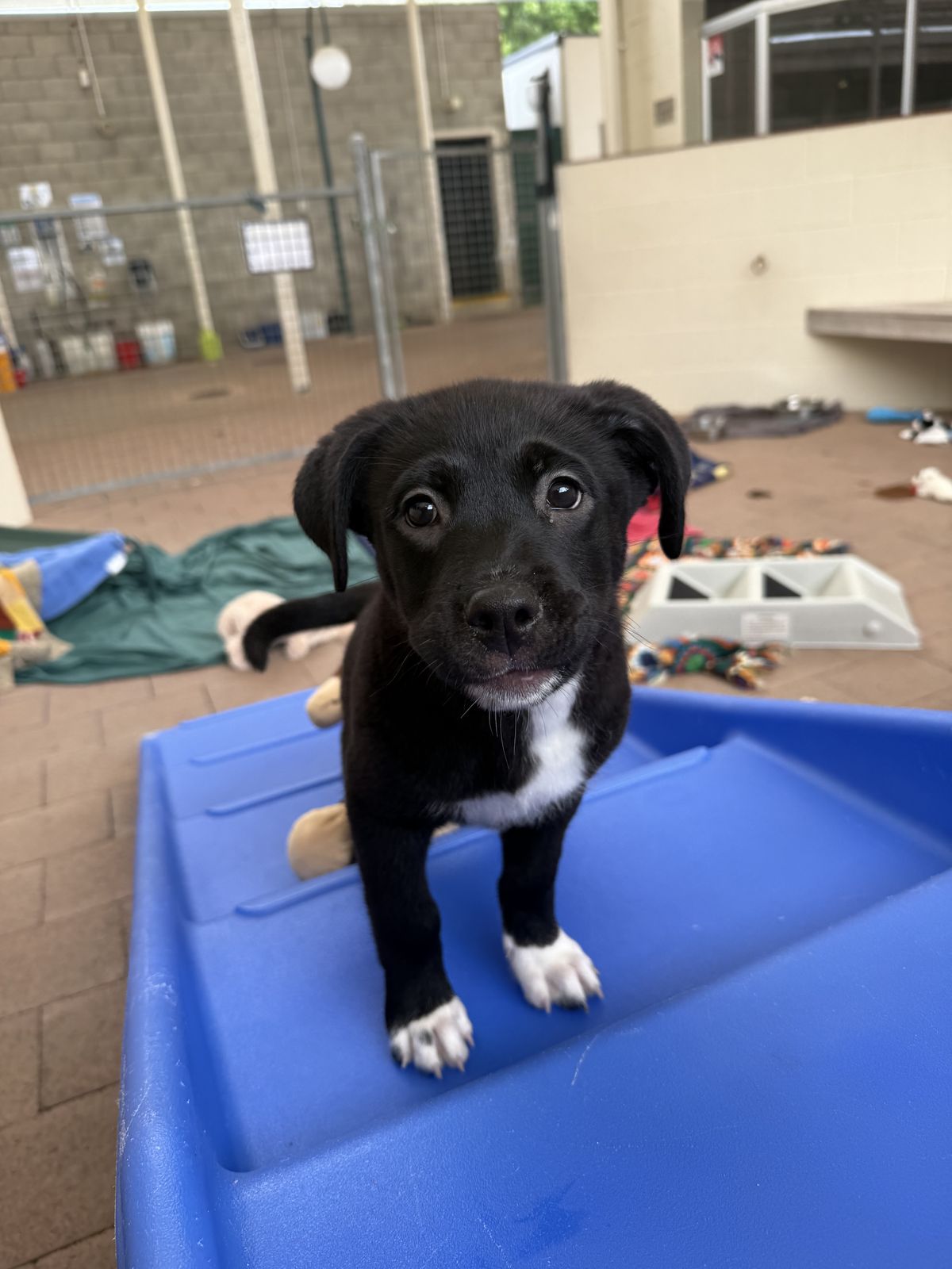 Gallery image: Samantha