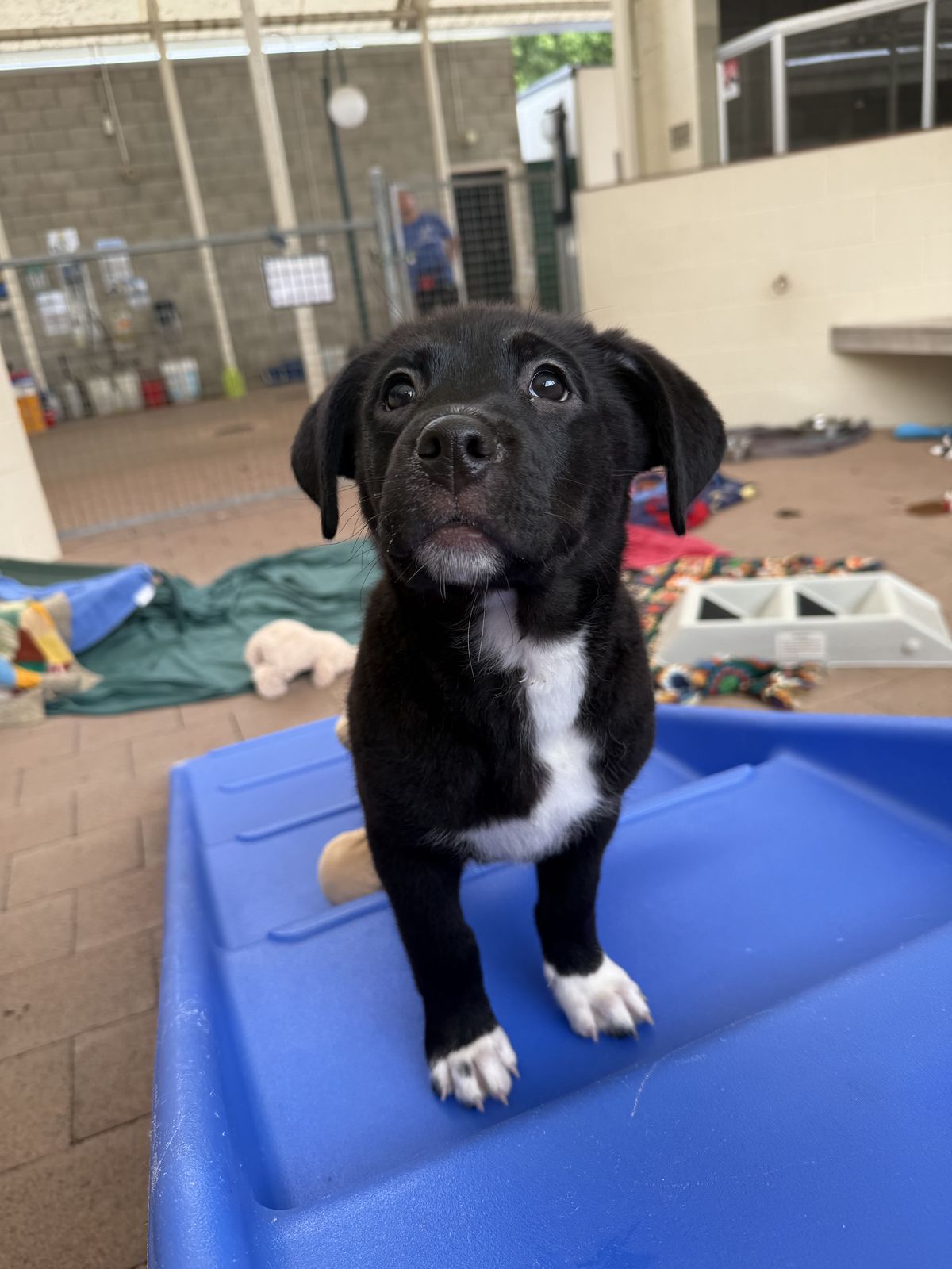 Gallery image: Samantha