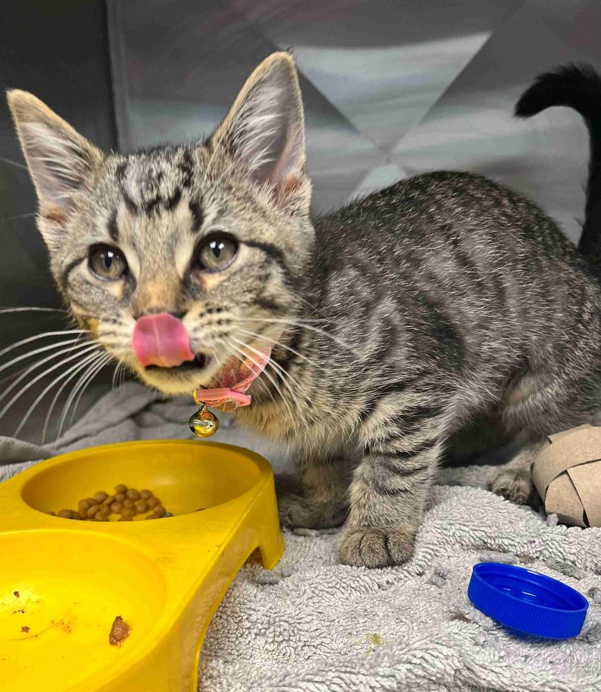 The “Skye’s” the limit after a rough start