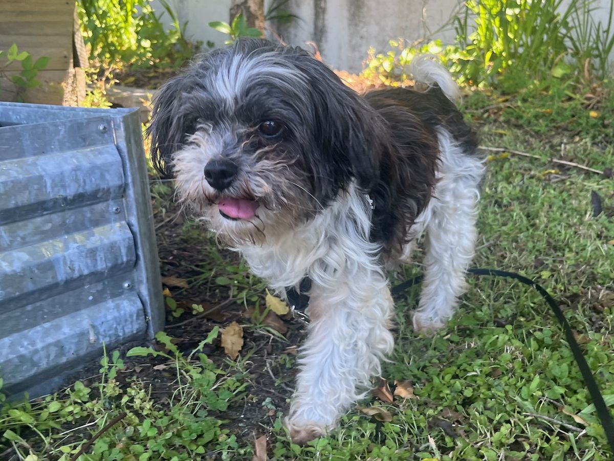 Gallery image: Bonnie