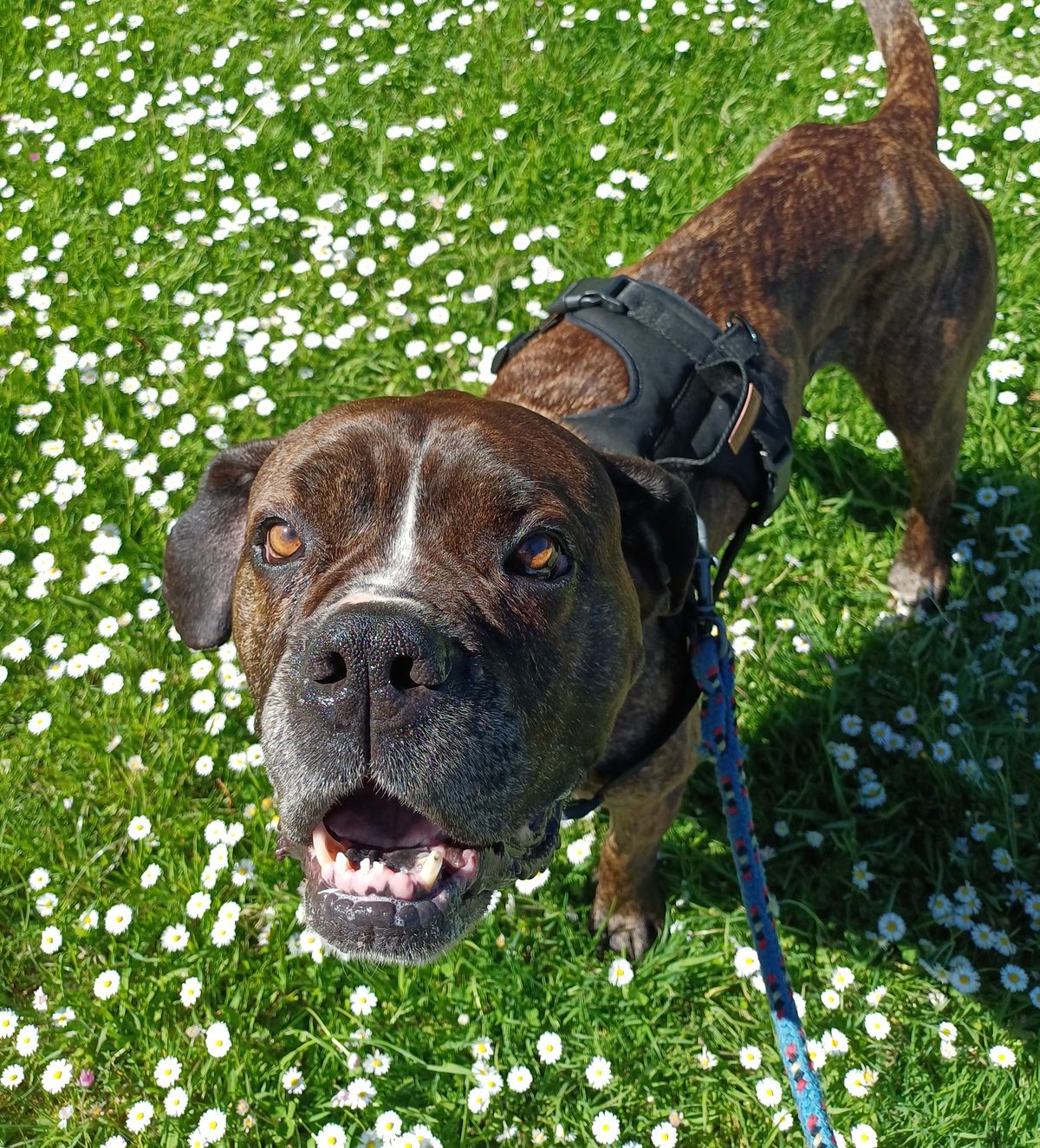 Gallery image: Evelyn