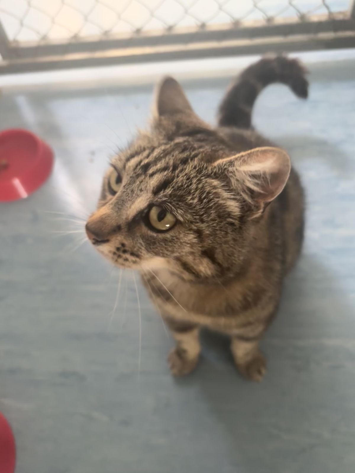 Gallery image: Missy