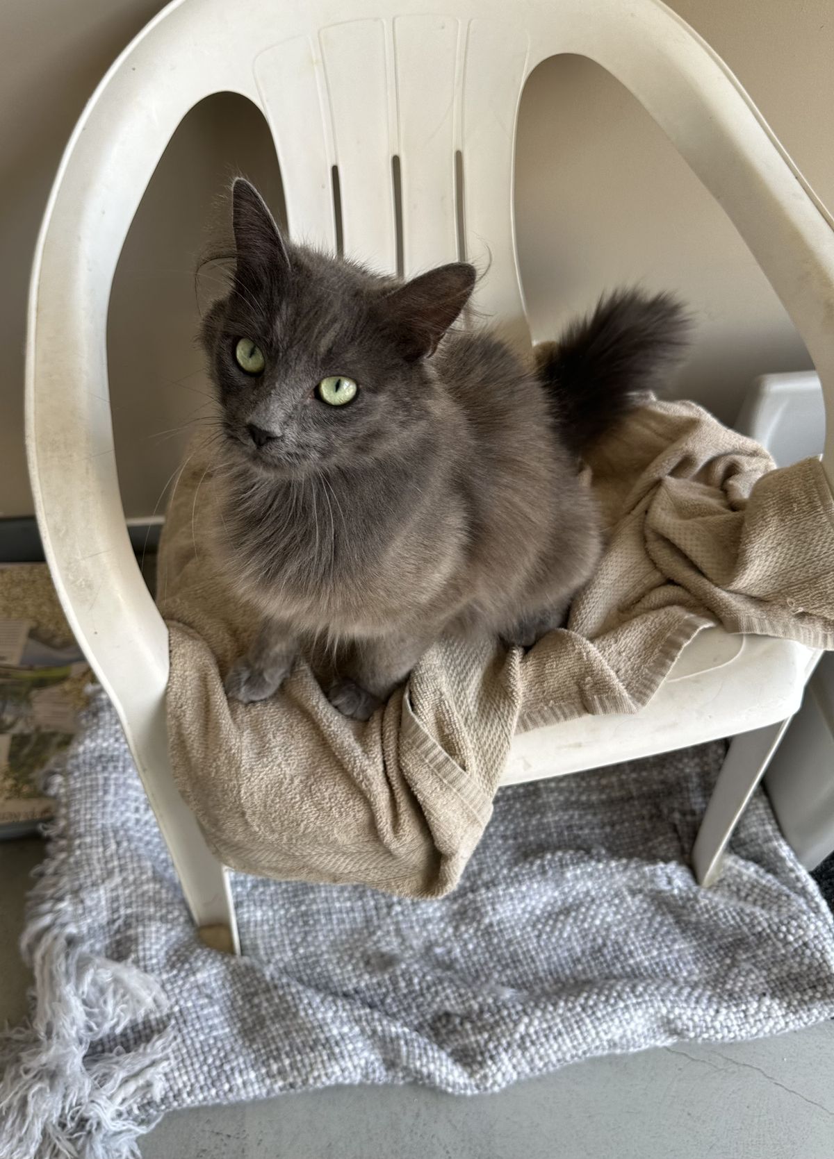 Gallery image: Rosie