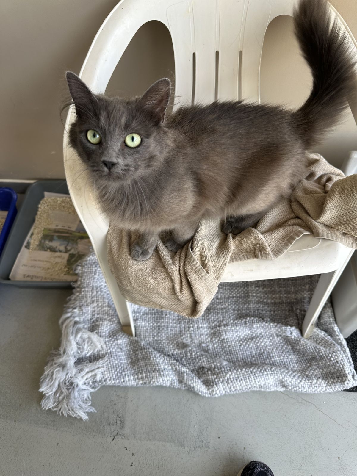 Gallery image: Rosie