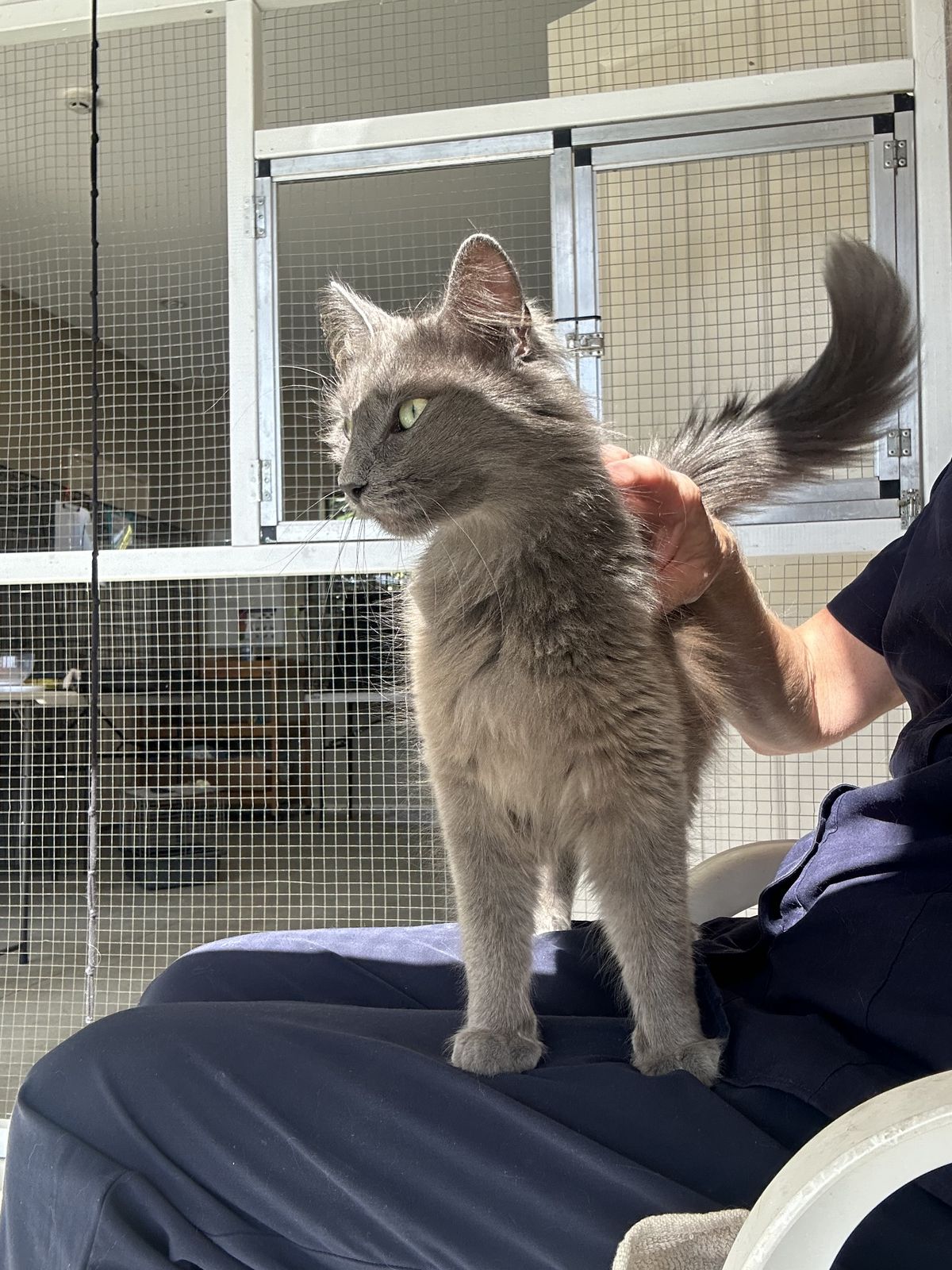 Gallery image: Rosie