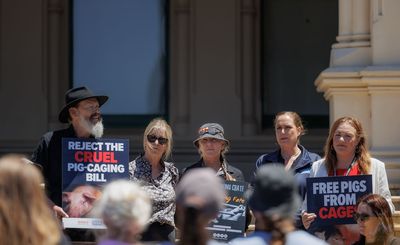 Opinion: The day our “world-leading” animal welfare system died 