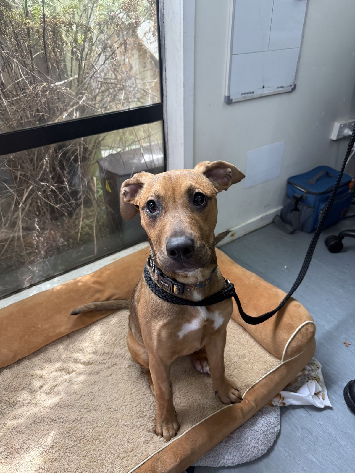 Gallery image: Moonshine