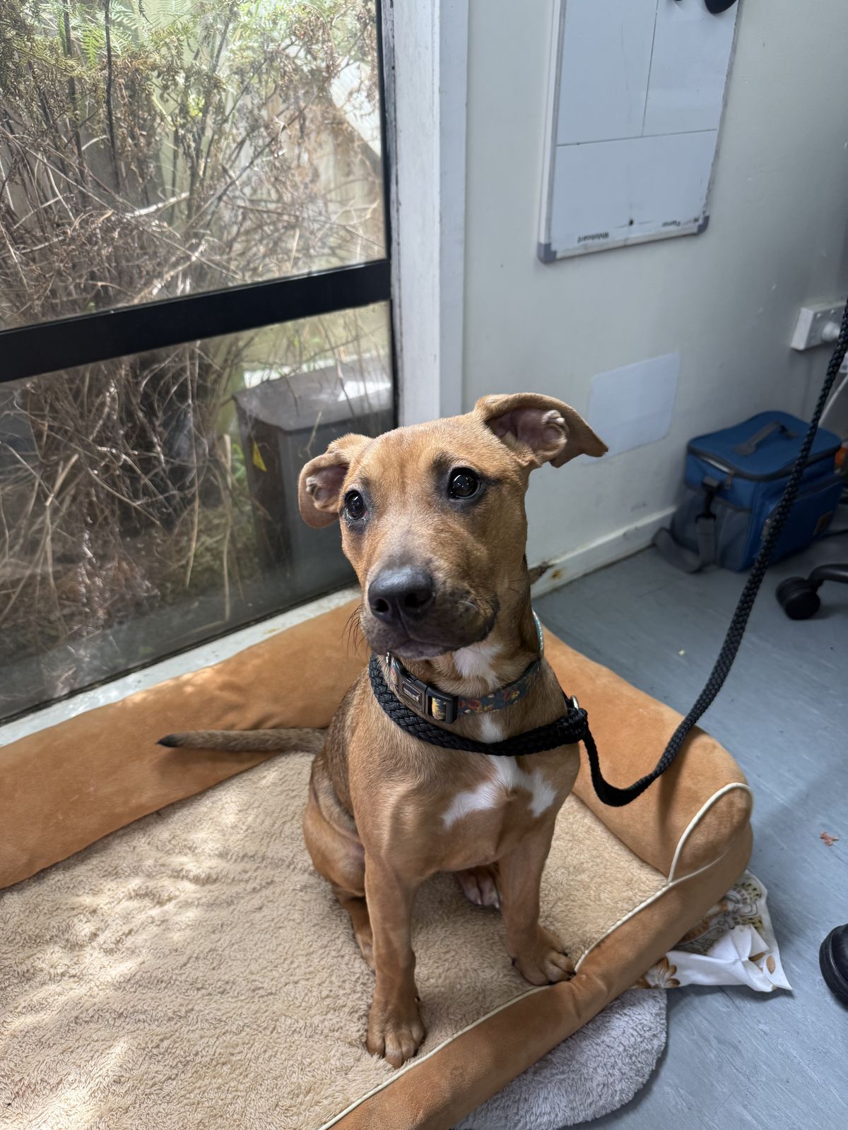 Gallery image: Moonshine