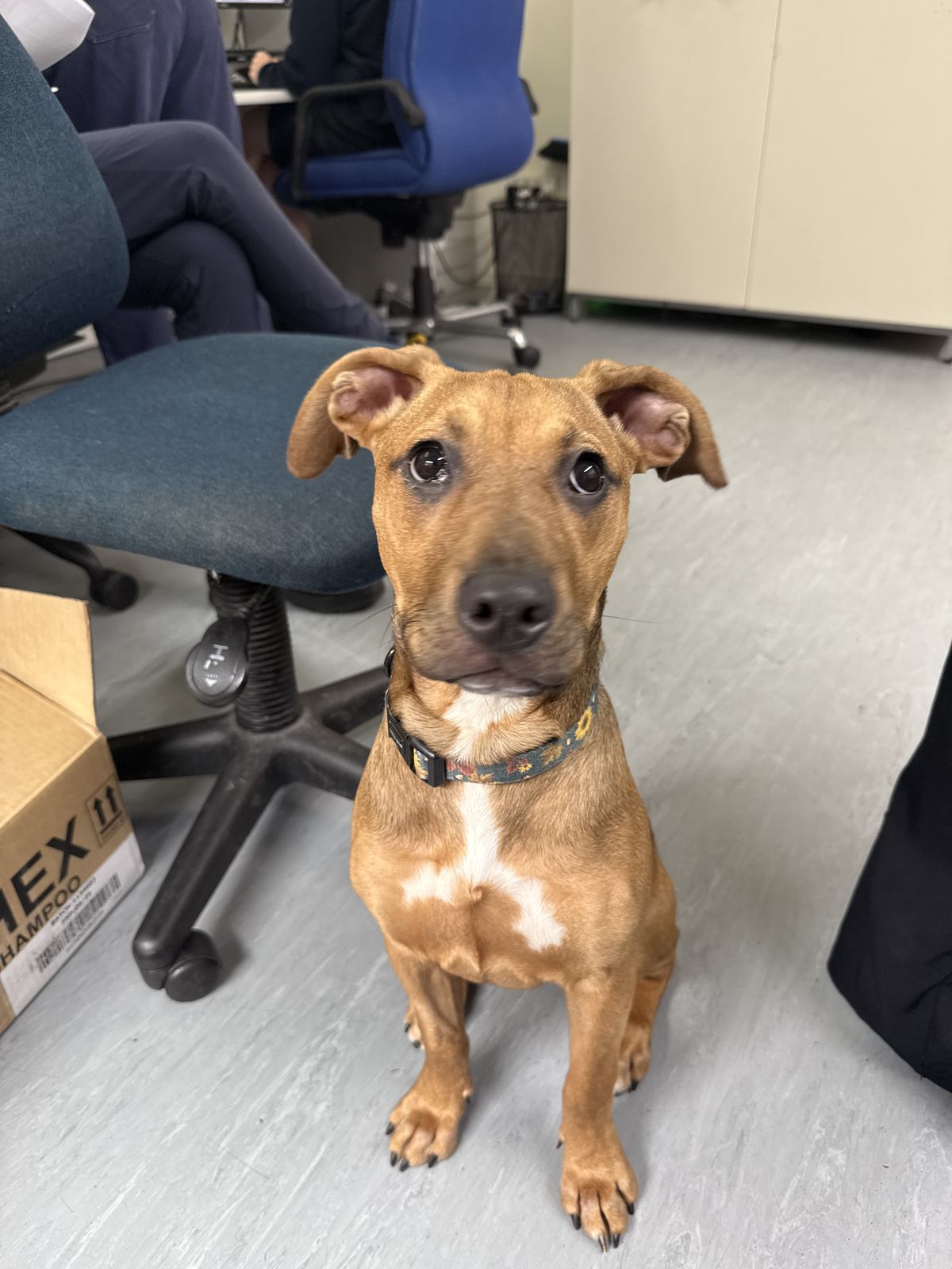 Gallery image: Moonshine