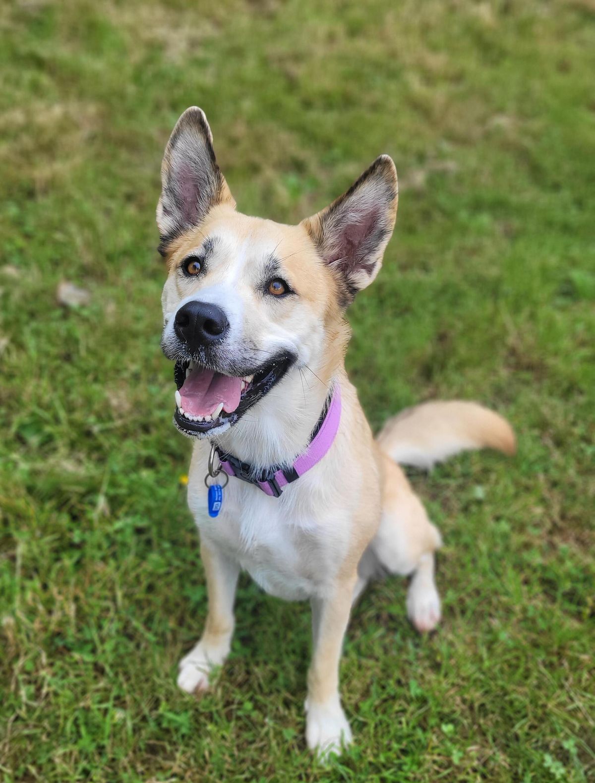 Gallery image: Astrid