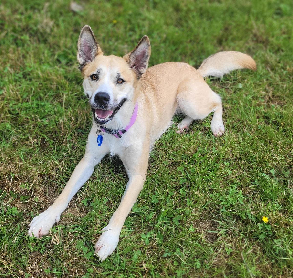 Gallery image: Astrid