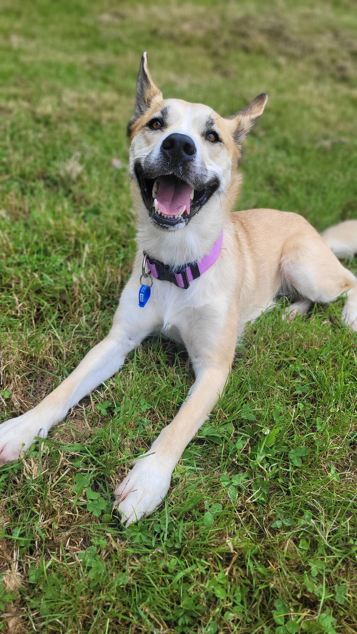 Gallery image: Astrid