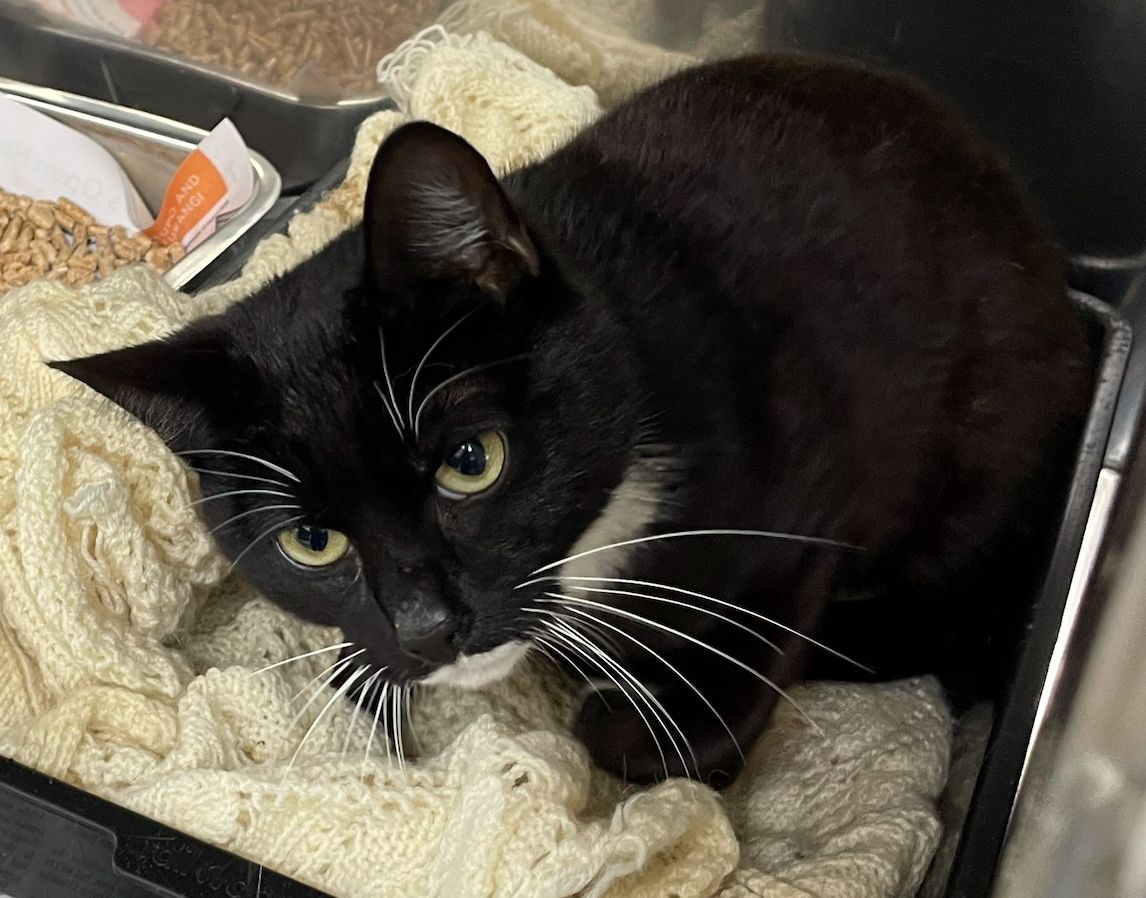 Gallery image: Casper