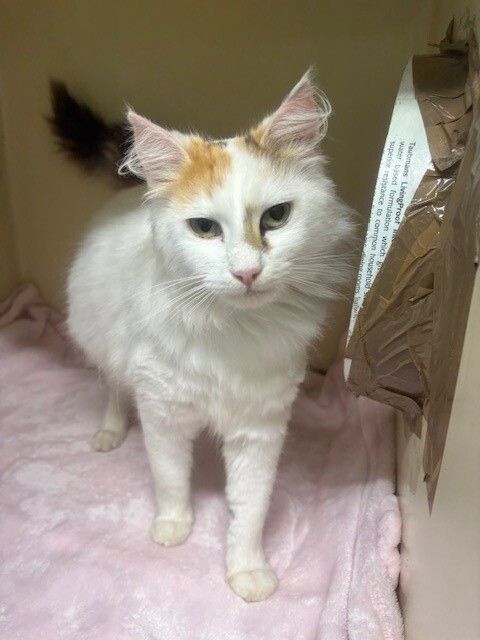 Gallery image: Cloud