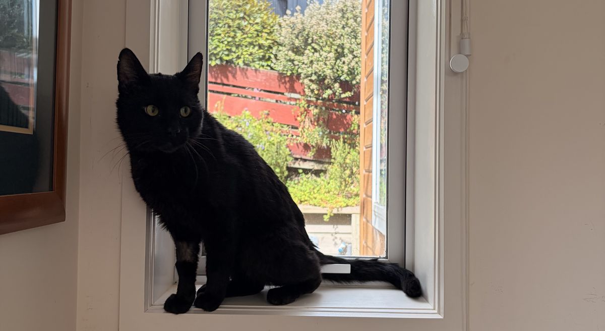 Gallery image: Bruce