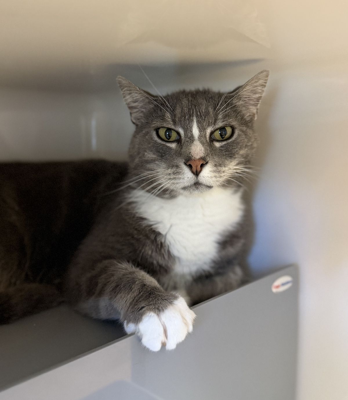 Gallery image: Magic Mike