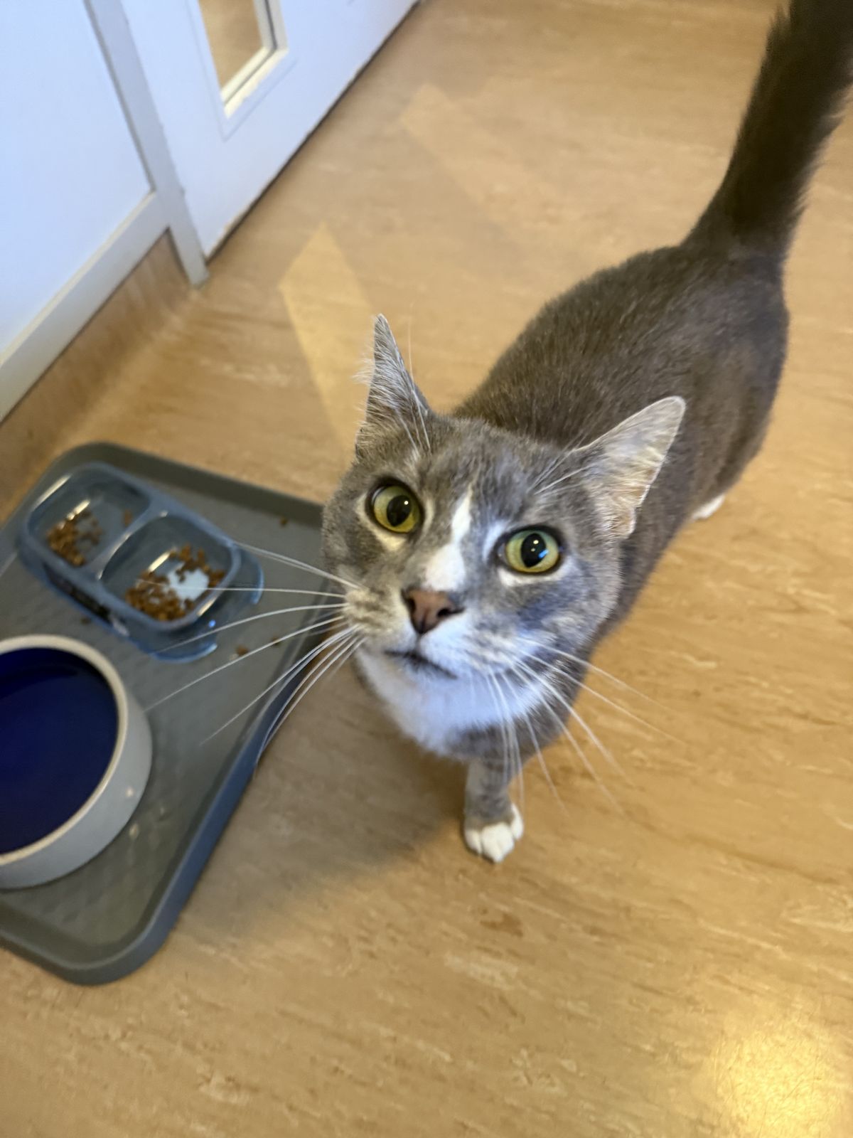 Gallery image: Magic Mike